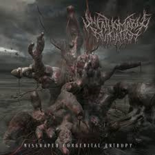 UNFATHOMABLE RUINATION - Misshapen Congenital Entropy CD