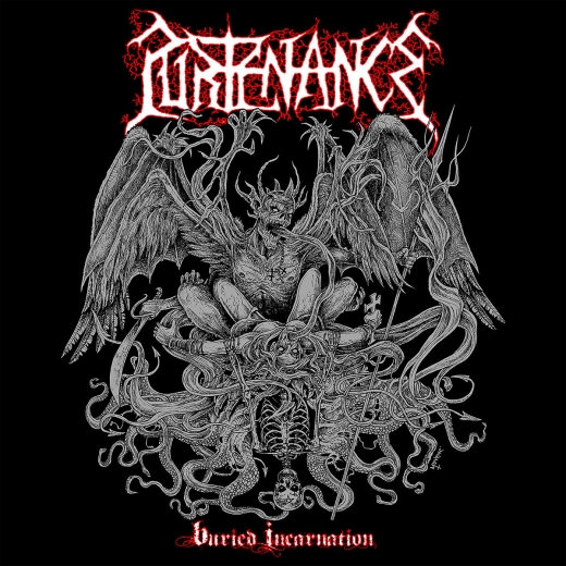 PURTENANCE - Buried Incarnation LP