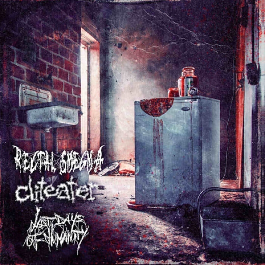 RECTAL SMEGMA,CLITEATER,LAST DAYS OF HUMANITY - Split LP