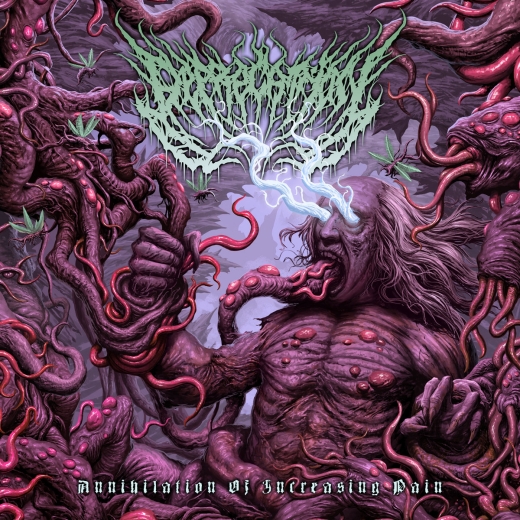 DEPRECATION - Annihilation Of Increasing Pain CD