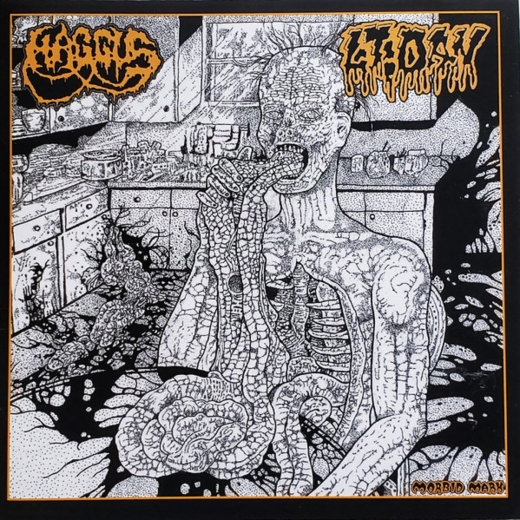 HAGGUS/LT.DAN - Split