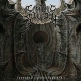 CATATONIC REVULSION - Inverted Cytohistogenesis MCD CATATONIC REVULSION - Inverted Cytohistogenesis MCD