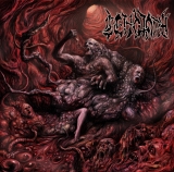 CENOTAPH - Perverse Dehumanized Dysfunctions CD