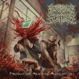 NECROPHILIC BEATDOWN - Probation Meeting Mutilation MCD