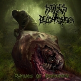 STAGES OF DECOMPOSITION - Raptures of Psychopathy CD STAGES OF DECOMPOSITION - Raptures of Psychopathy CD
