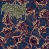 TRICHOMONIASIS - Terminal Inversion MCD