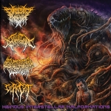 V.A. Heinous Interstellar Malformations - Split CD