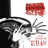 PULSATING CEREBRAL SLIME - No One Can Hear You Scream CD PULSATING CEREBRAL SLIME - No One Can Hear You Scream CD