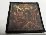 COLPOCLEISIS - Fallopian Fallout Patch