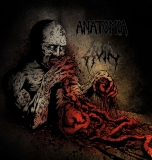 ANATOMIA/RUIN - Split LP