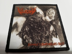 VULVECTOMY - Syphilic Dismembered Slut Patch