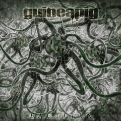 GUINEAPIG - Bacteria LP
