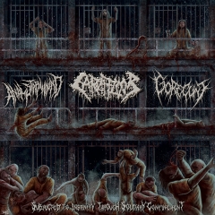 ANAL STABWOUND,CARNIFLOOR,GORECUNT - 3 Way Split CD