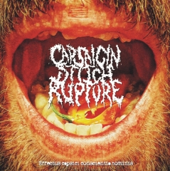 CAPSAICIN STITCH RUPTURE/FIRST DAYS OF HUMANITY - Split CD