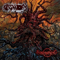 CERCENATORY - GoreSphere CD