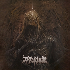 INFURIATE - Same LP