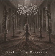 FIXATION ON SUFFERING - Confined In Obscurity CD