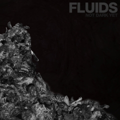 FLUIDS - Not Dark Yet CD