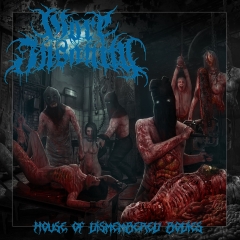 GORE INSANITY - House Of Dismembered Bodies CD