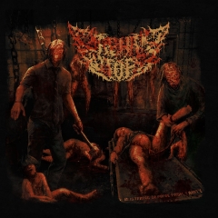 ORPHAN AUTOPSY - Blistering Deprive from Sanity CD