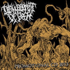 DISFIGUREMENT OF FLESH - Promo 2013 (US Vol.7) Pro CDr