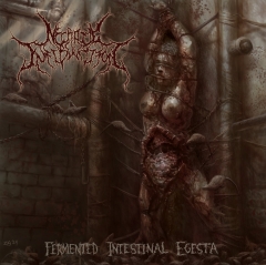 NECROTIC INFIBULATION - Fermented Intestinal Egesta CD