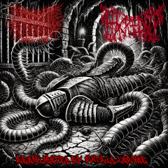 DESECRATED EXTINCTION/HACKED UP - Split CD