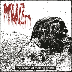 MULL - The Sound of Melting Gristle CD