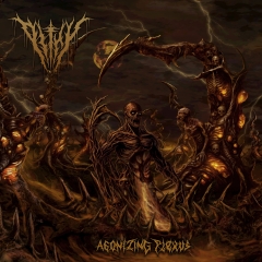 PITHY - Agonizing Plexus CD