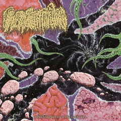 HIBERNUS MORTIS - The Monoliths Of Cursed Slumber CD