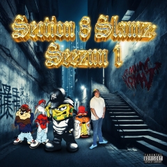 CLOWN VOMIT - Section 8 Slamz CD