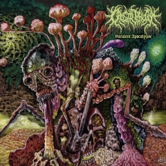 CAUSTIC PHLEGM - Purulent Apocalypse LP (Green/Yellow/Magenta Neon Swirl)