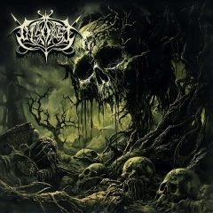 DISORGE - Disorge LP