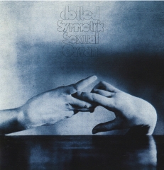 CLOTTED SYMMETRIC SEXUAL ORGAN - Nägro Lauxes LP (Sea Blue Swirl)