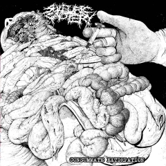 SULFURIC CAUTERY - Consummate Extirpation LP