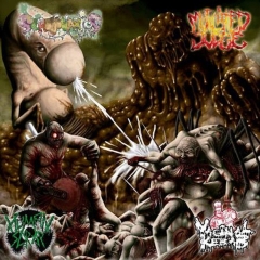 VAGINAL KEBAB/SCROTOVARIOS/HUMAN SCRAP/MUTILATED JUICE - 4 Way Split LP