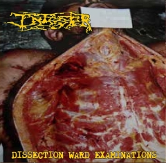 INFESTER - Dissection Ward Examinations LP
