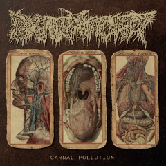 PHARMACIST - Carnal Pollution 10LP