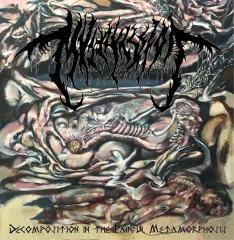 MVLTIFISSION - Decomposition In The Painful Metamorphosis LP (marble)